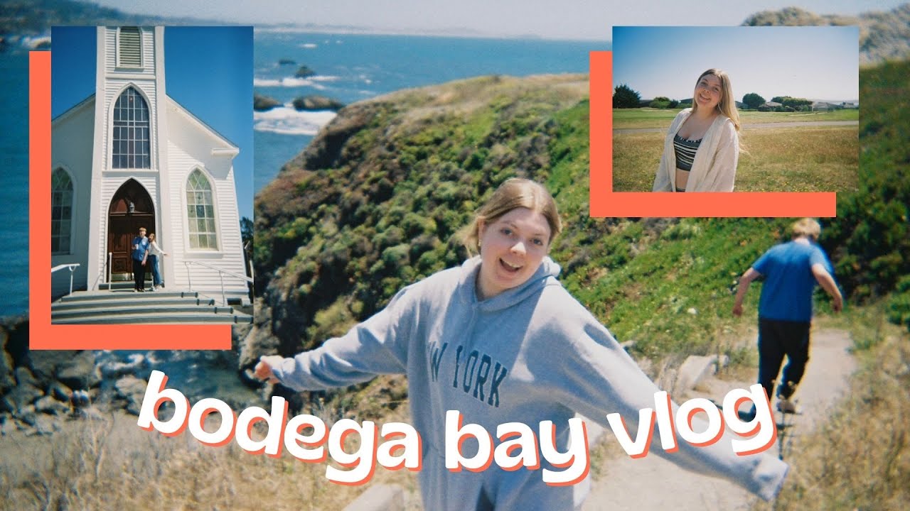 bodega bay & john muir woods vlog 2022