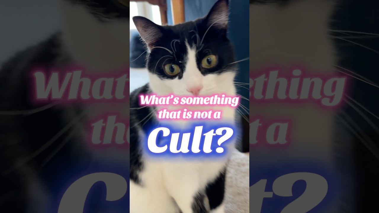 Is Owning Cats a Cult? 🐱😂
