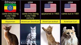 😺Cat Breeds From Different Countries by LIFE OF CATS 62 views 13 days ago 1 minute, 21 seconds