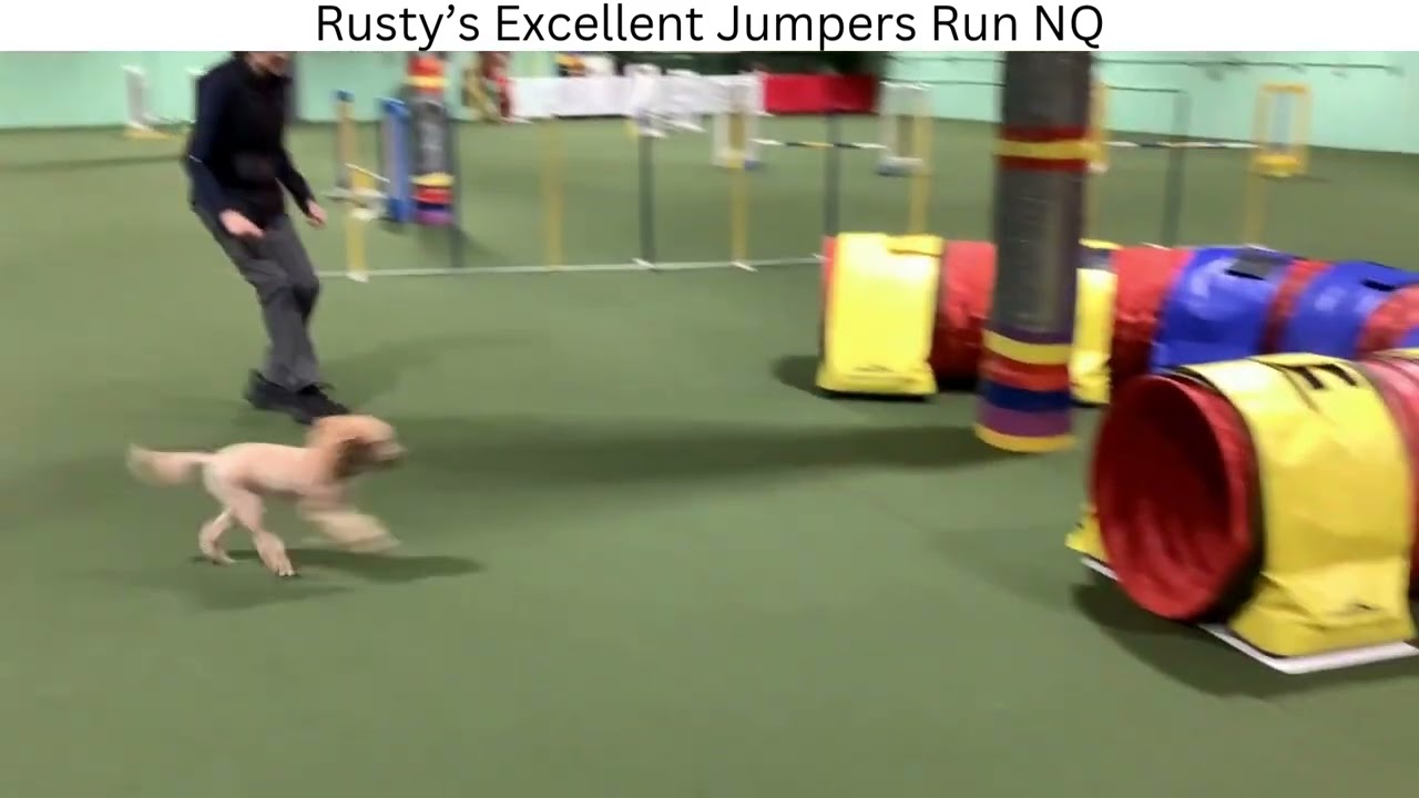 2025 10 26 Rusty runs agility