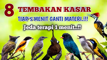 2 jam Tembakan kasar tiap 5 menit ganti materi jeda terapi 1 menit suara jernih di jamin mudah masuk