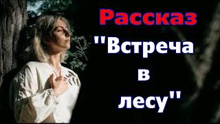 Рассказ "Встреча в лесу" и стихотворение Светланы Тимохиной. Авторское чтение.