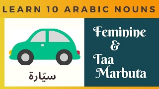 Arabic Vocabulary : feminine & taa marabuta (10 arabic nouns)
