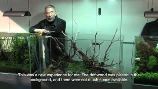 TAKASHI AMANO LAYOUT SEMINAR A 120cm aquarium tank No.5 2012.02.22