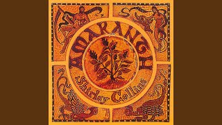 Black Joker/Black White, Yellow & Green Resimi