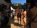 Animal fare 🐎 2026 Kurukshetra 📍#trending #shorts