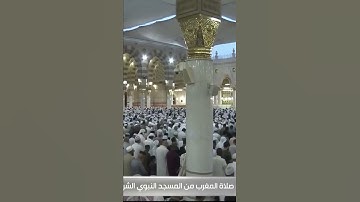 تلاوة هادئة وترتيل شجي للشيخ: عبدالمحسن القاسم حفظه الله، سورة القارعة.