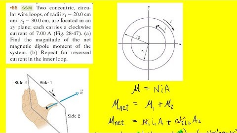 Two concentric circular wire loops of radii