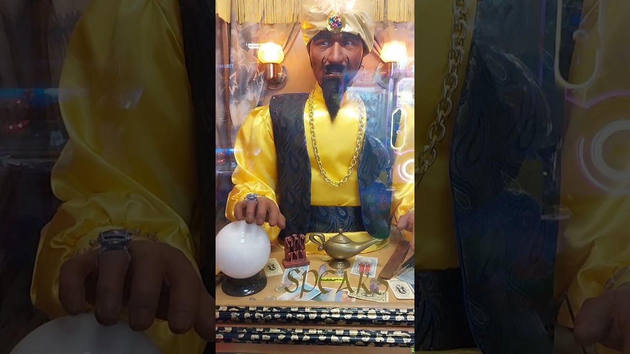 I asked Zoltar.