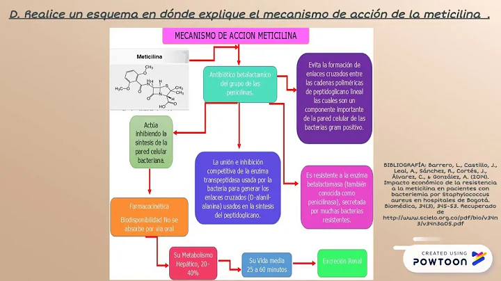MICROBIOLOGIA UNAD ESTUDIO DEL CASO BACTERIEMIA S....