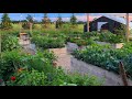 Garden Updates & Tips | Vegetable, Herb & Rock Gardens | Pumpkin Patch | Perennial Berm//Garden Farm
