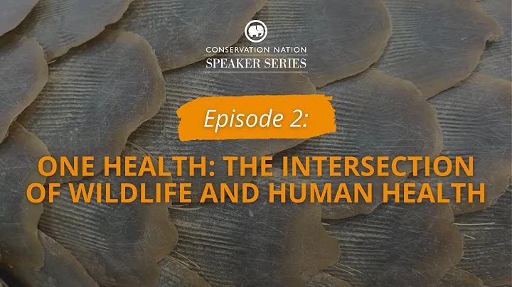 One Health: The Intersection of Wildlife and Human...