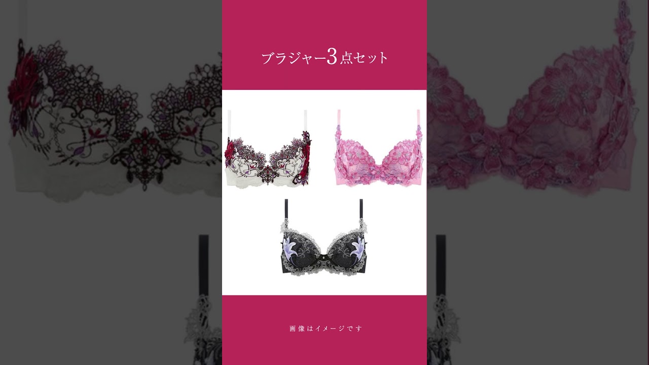 ヒミコ ブラジャー 福袋 大きいサイズ レディース セット 刺繍レース
