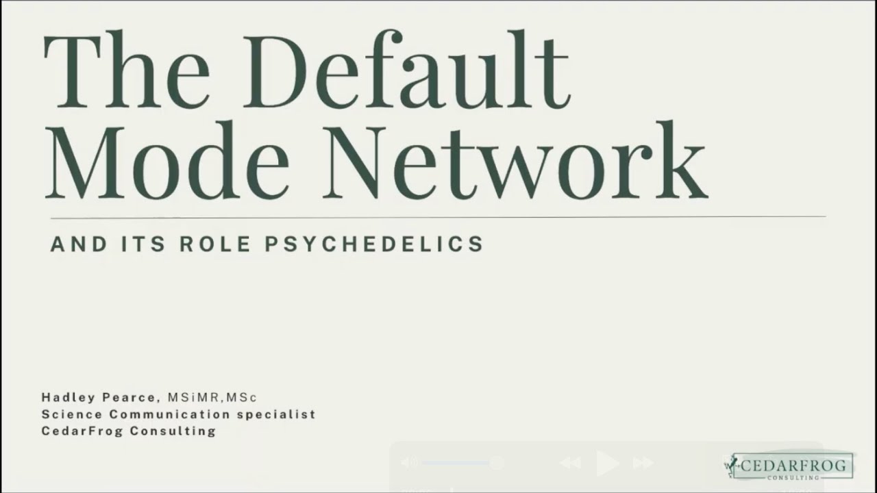 The Default Mode Network and Its Role in Psychedelics