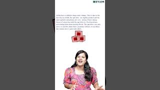 Solid & Its Specialities!! | Xylem Class 8 CBSE
