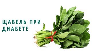Щавель при сахарном диабете Щавель при сахарном диабете