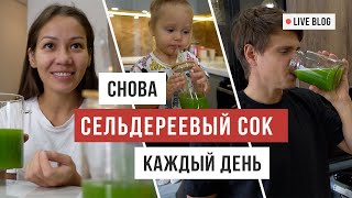 VLOG Давно хотели купить это: специальная соковыжималка для сельдерея / Аскеза в кедах