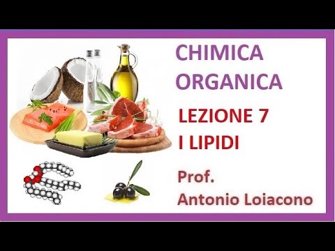 CHIMICA ORGANICA - Lezione 7 - I Lipidi