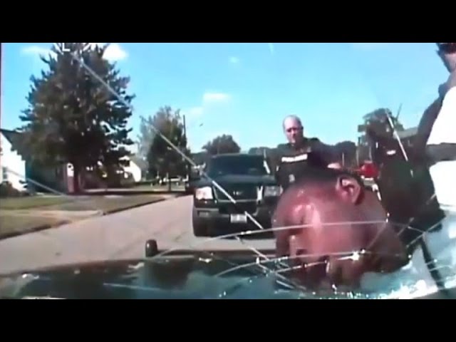 Man Suing for 'Excessive Force' After Police Break Windshield with Suspects Head