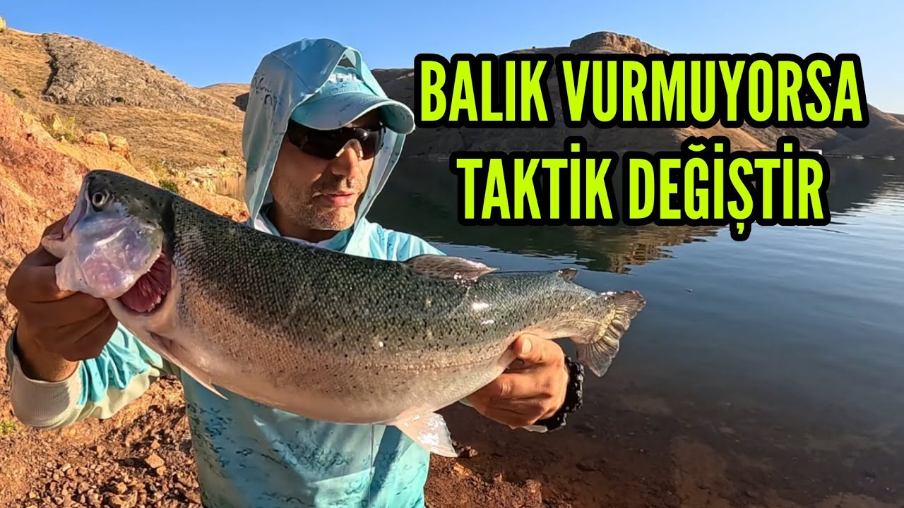 Ловля турецкого лосося, Ловля стальноголовой форели, Ловля радужной форели