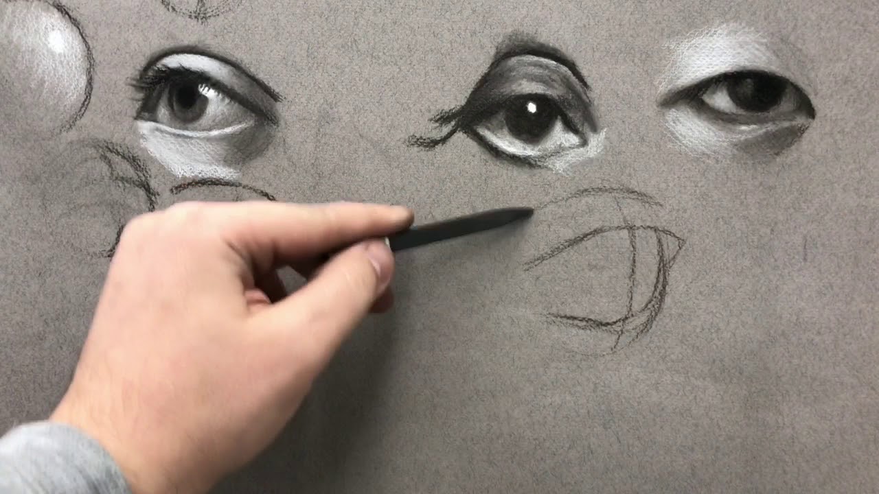 Heightened Toned Paper Charcoal Study 1 Drawing by Morgyn Crotts