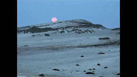 سورة الكهف بصوت القارئ رشيد بلعشية