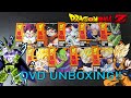 Dragon Ball Z Season 1-9 Orange Brick DVD Unboxing