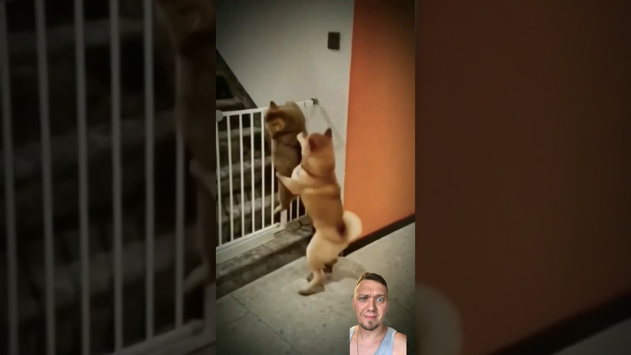 Что то мутят на пару😂 