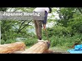 Stepping Back in Time: Hewing Japanese Cedar (Sugi) the Traditional Japanese Carpentry Way