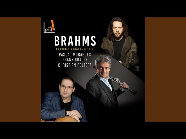 Brahms - Sonate pour clarinette & piano n°1: 2e mvt : P.Moraguès / F.Braley