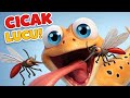 Cicak Cicak di Dinding - Lagu Anak Anak - Lagu Anak Anak Indonesia Populer