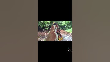 Draw on calculator (casio 580) #SHORT