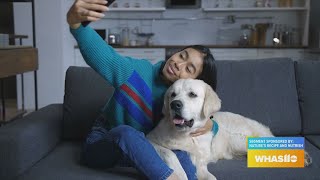 GDL: Learn About Adopt-A-Shelter Dog Month!