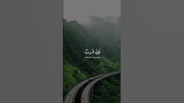 وإذا سألك عبادي عني| سورة البقره| عمير شميم #عمير_شميم #quran #المصحف #islamicscripture