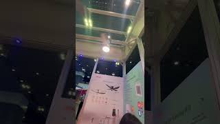 MOWE ceiling fan with light 3 blade
