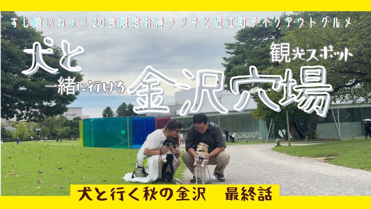 【犬と秋の金沢旅行】最終話 犬も一緒に行ける観光スポットを一緒にまわりましたやで！【トリフィート ホテル&ポッド 金沢百万石通】【石浦神社】【近江町市場】【すし喰いねえ限定ランチ】