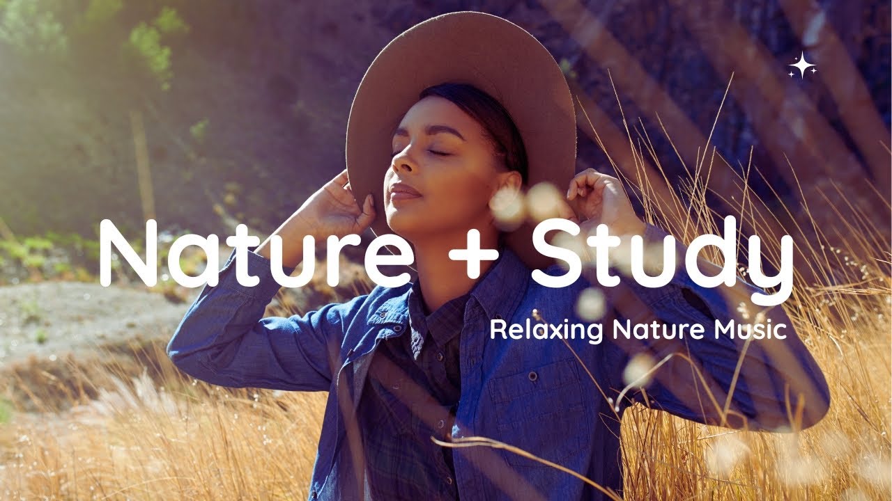 Deep Focus Music for Studying – Nature Sounds for University Exam Prep