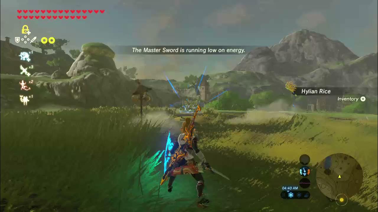 My Favorite Way To Collect Hylian Rice 🍚