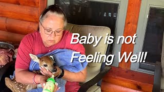 Baby Not Feeling Good  Lucys Herd  June 25th