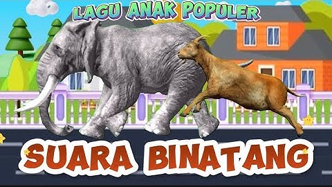 Suara Binatang Lagu Anak Lucu Viral by KBeeb