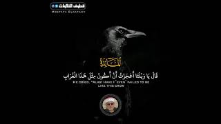 قَالَ يَا وَيْلَتَا أَعَجَزْتُ أَنْ أَكُونَ مِثْلَ هَٰذَا الْغُرَاب