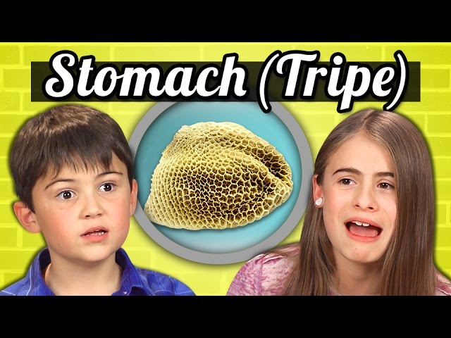 KIDS vs. FOOD - COW’S STOMACH (TRIPE)