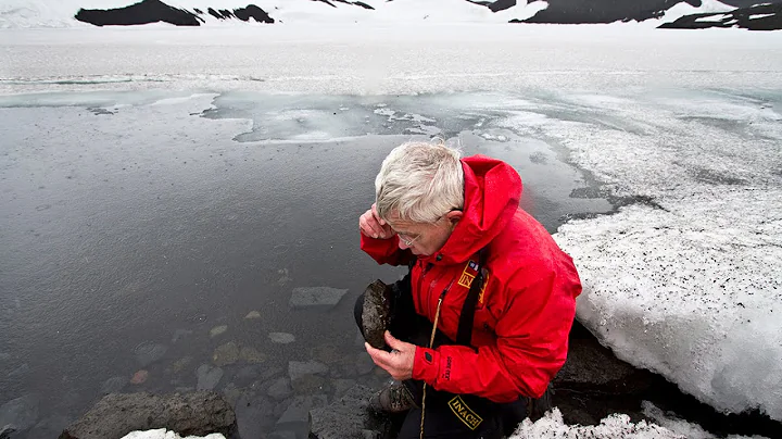 UNT researcher studies Antarctic insect - DayDayNews