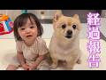 【経過報告】愛犬のその後の体調について