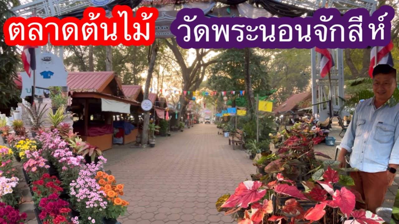 ตลาดต้นไม้วัดพระนอนจักสีห์