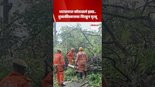 भररस्त्यात कोसळलं झाड.. दुचाकीस्वाराचा चिरडून मृत्यू | Matve–Dabolim Road | Goa News