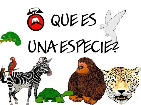 Video: ¿Cómo saber si dos organismos son de la misma especie?