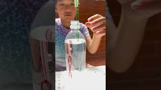 The Sinking Squid in a Bottle