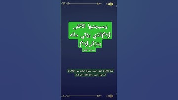 وسيجنبها الأتقى(١٧)الذي يؤتي ماله يتزكى (١٨)سورة الليل#قناة_تلاوات_قارئ_من_اليمن #اكسبلور #لايك