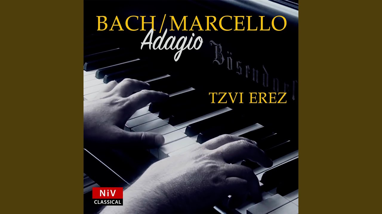 Concerto in D Minor After Alessandro Marcello  BWV 974 II Adagio